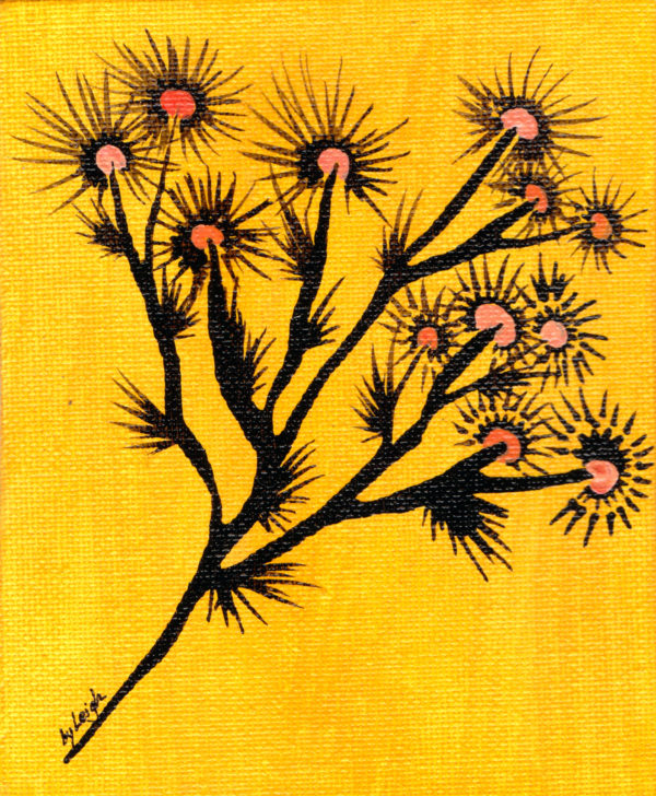 Plant Life - Image 4