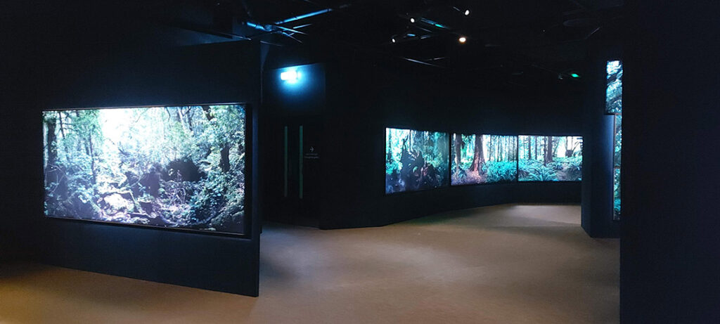 a room with black walls, black floor to ceiling room dividers, all will large flat HD screens showing images of forests.