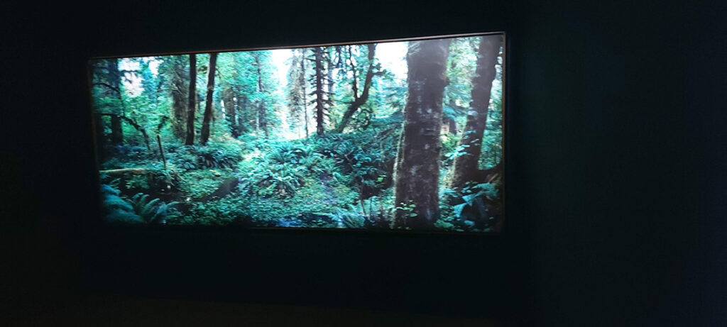 a room with black walls, black floor to ceiling room dividers, all will large flat HD screens showing images of forests.